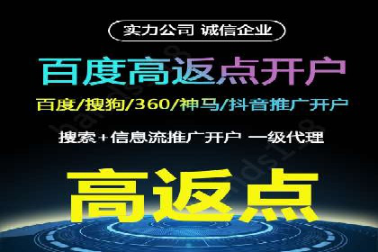 网络推广与竞价广告：双管齐下的策略案例